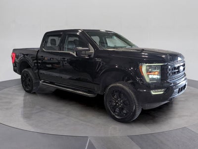2023 Ford F-150 Base