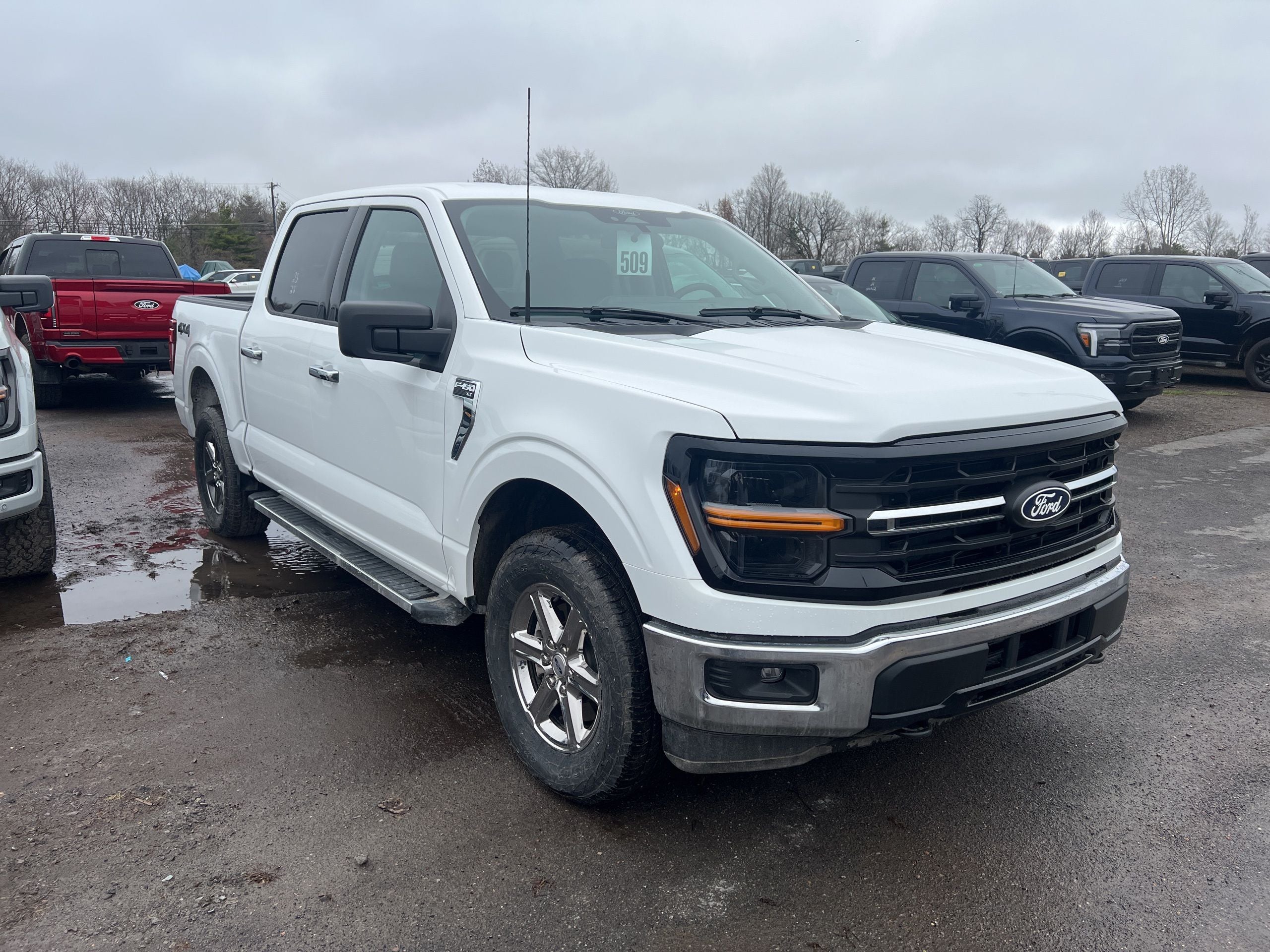 2025 Ford F-150 XLT