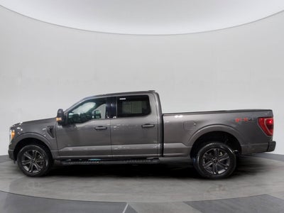 2023 Ford F-150 Base