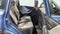 2022 Subaru Forester Base